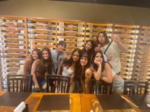 Influenciados da Aloha